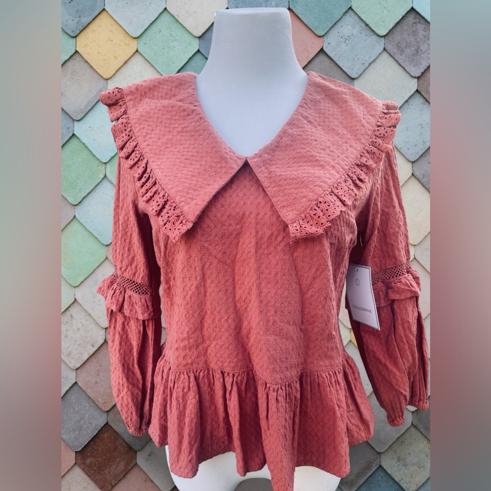 Calligraphie Salmon Blouse with Lace Collar and Ruffled Sleeves